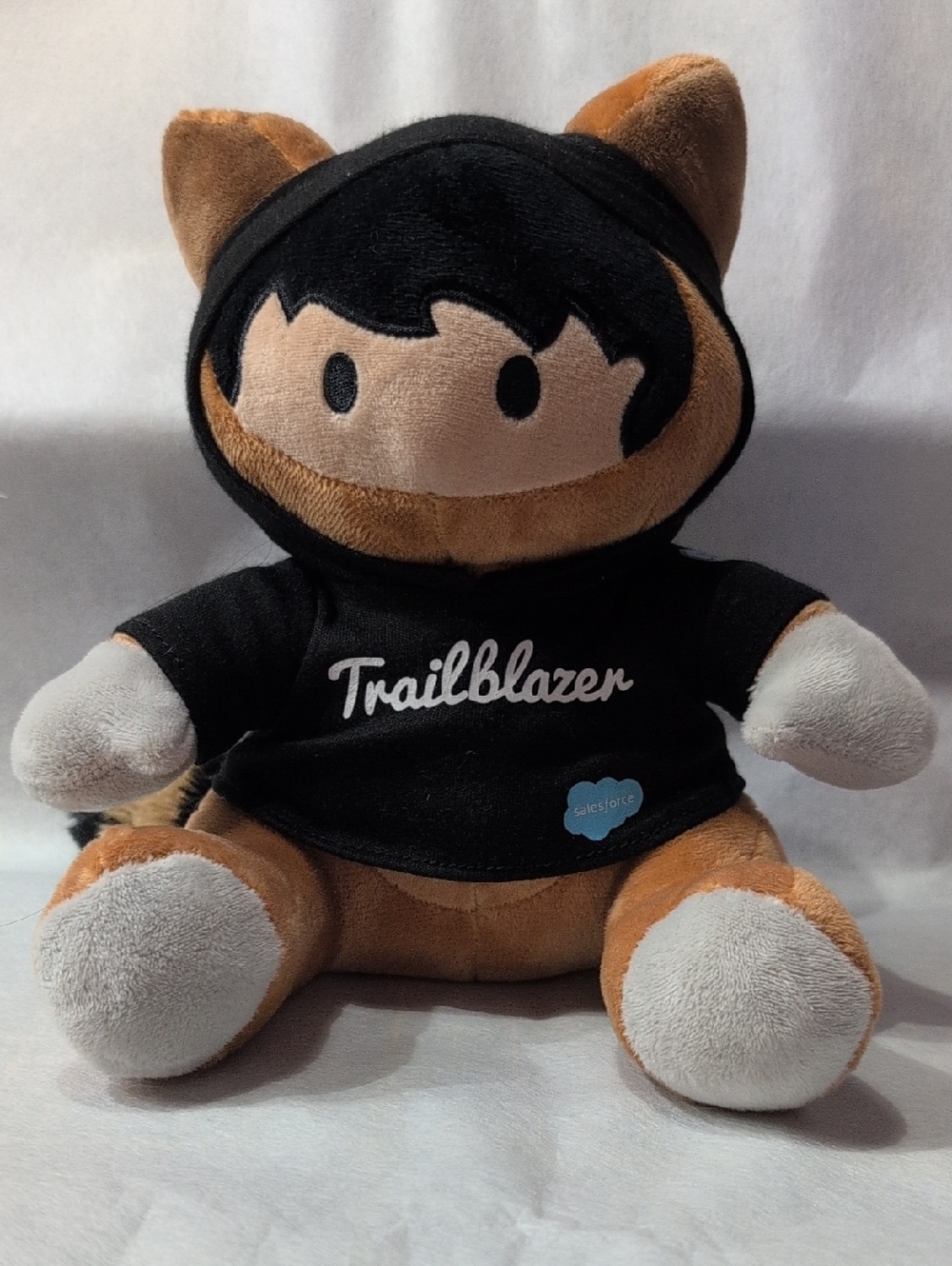 Salesforce Character Trailblazer Astro Nomical 8” Raccoon Hooded Shirt Plush